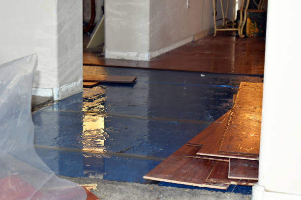 Professional Water Damage Restoration technician working in Westerlo, NY
